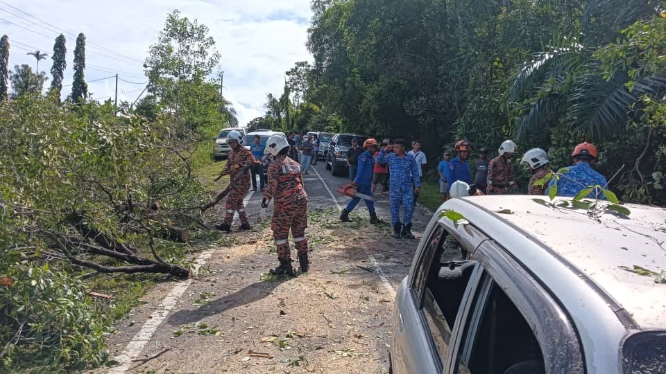 Pokok tumbang hempap kenderaan, lima mangsa cedera